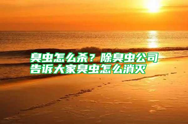 臭蟲怎么殺？除臭蟲公司告訴大家臭蟲怎么消滅