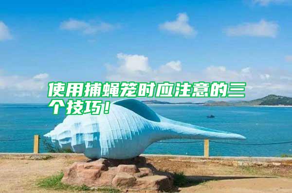 使用捕蠅籠時應(yīng)注意的三個技巧！