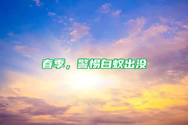 春季，警惕白蟻出沒