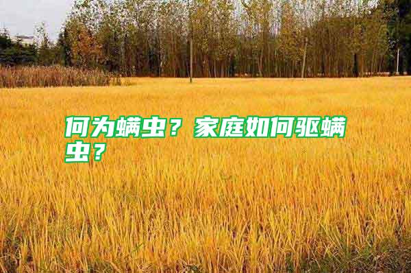 何為螨蟲？家庭如何驅(qū)螨蟲？