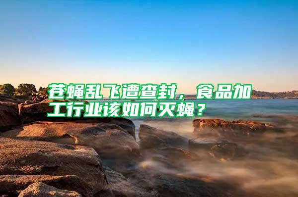 蒼蠅亂飛遭查封，食品加工行業該如何滅蠅？
