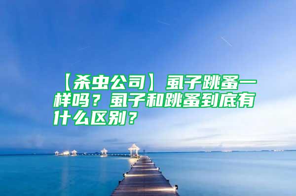 【殺蟲公司】虱子跳蚤一樣嗎？虱子和跳蚤到底有什么區(qū)別？