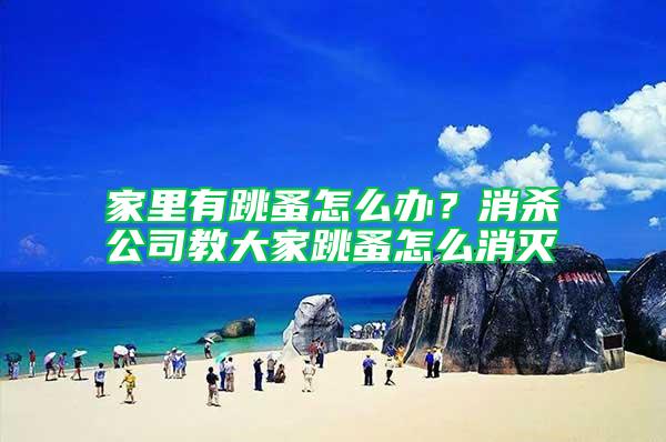 家里有跳蚤怎么辦？消殺公司教大家跳蚤怎么消滅