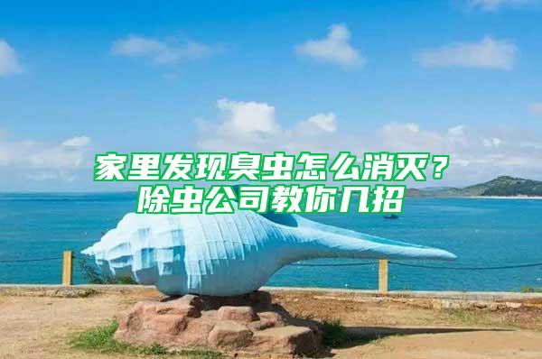 家里發(fā)現(xiàn)臭蟲(chóng)怎么消滅？除蟲(chóng)公司教你幾招
