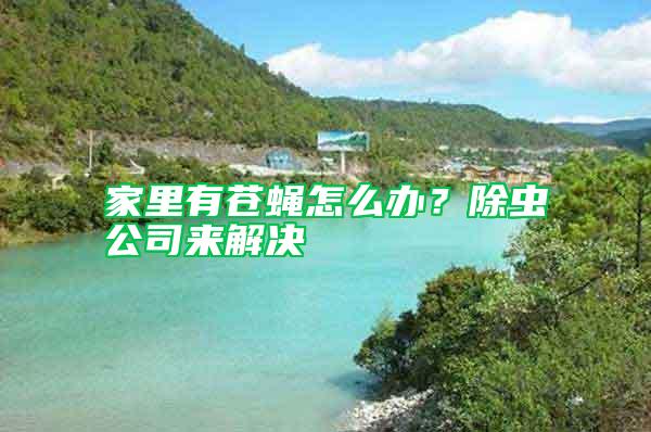 家里有蒼蠅怎么辦？除蟲(chóng)公司來(lái)解決