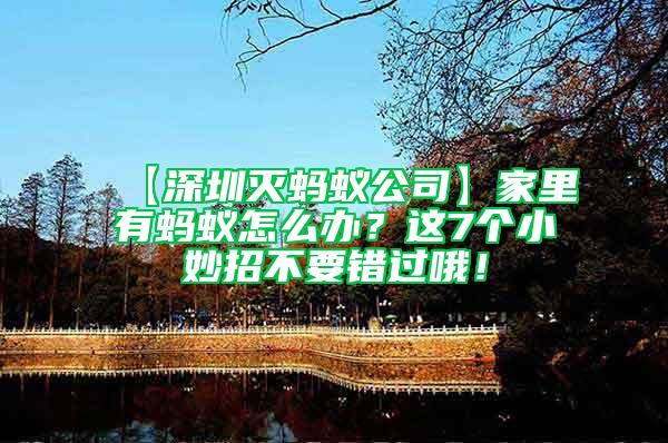 【深圳滅螞蟻公司】家里有螞蟻怎么辦？這7個小妙招不要錯過哦！