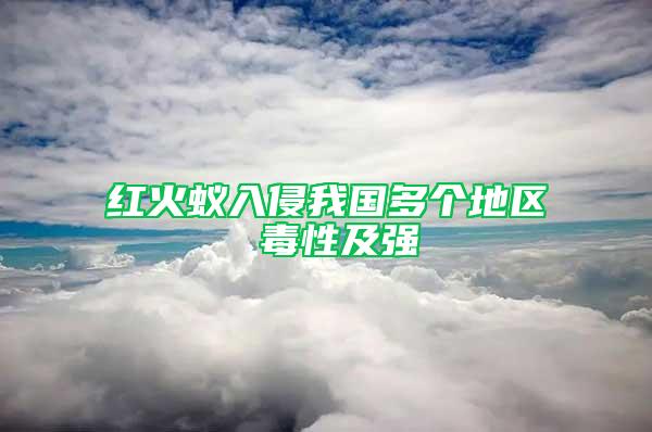 紅火蟻入侵我國多個地區(qū) 毒性及強