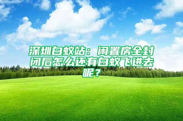 深圳白蟻站：閑置房全封閉后怎么還有白蟻飛進(jìn)去呢？