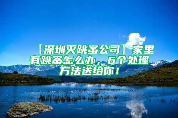 【深圳滅跳蚤公司】家里有跳蚤怎么辦，6個處理方法送給你！