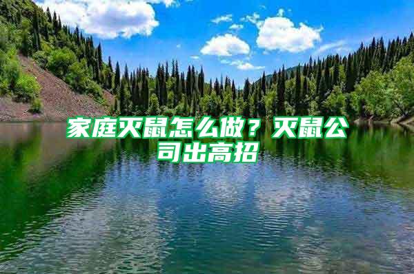 家庭滅鼠怎么做？滅鼠公司出高招