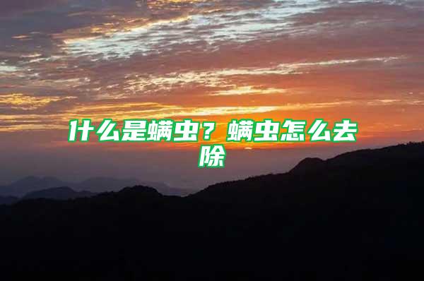 什么是螨蟲？螨蟲怎么去除