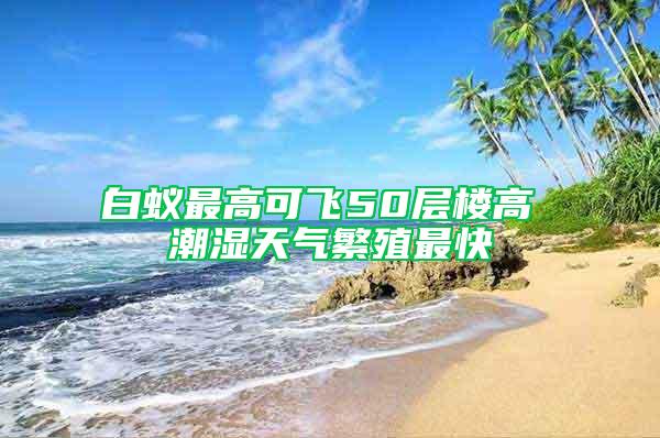 白蟻?zhàn)罡呖娠w50層樓高 潮濕天氣繁殖最快