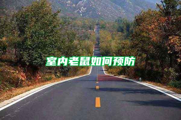 室內(nèi)老鼠如何預(yù)防