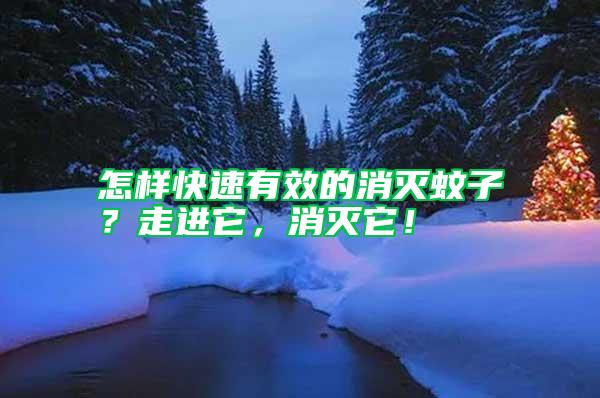 怎樣快速有效的消滅蚊子？走進(jìn)它，消滅它！