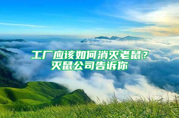 工廠應該如何消滅老鼠？滅鼠公司告訴你