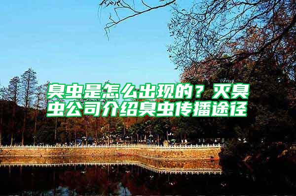 臭蟲(chóng)是怎么出現(xiàn)的？滅臭蟲(chóng)公司介紹臭蟲(chóng)傳播途徑