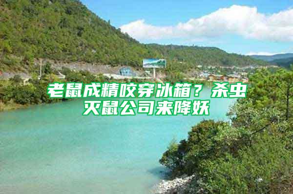 老鼠成精咬穿冰箱？殺蟲(chóng)滅鼠公司來(lái)降妖