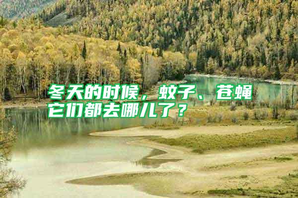 冬天的時(shí)候，蚊子、蒼蠅它們都去哪兒了？
