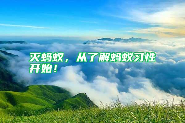 滅螞蟻，從了解螞蟻習(xí)性開始！