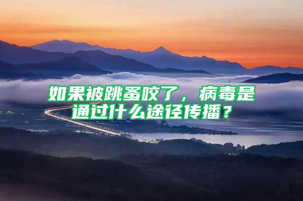 如果被跳蚤咬了，病毒是通過(guò)什么途徑傳播？