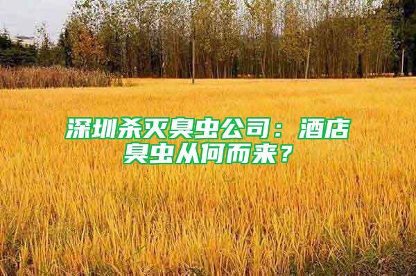 深圳殺滅臭蟲公司：酒店臭蟲從何而來？