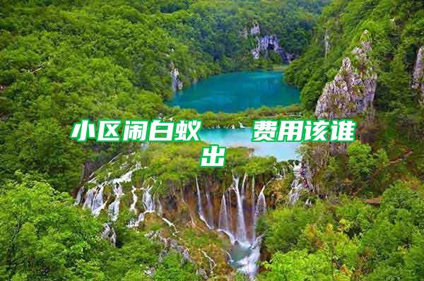 小區(qū)鬧白蟻   費用該誰出