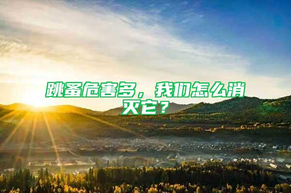 跳蚤危害多，我們?cè)趺聪麥缢?/></p>
             <p style=