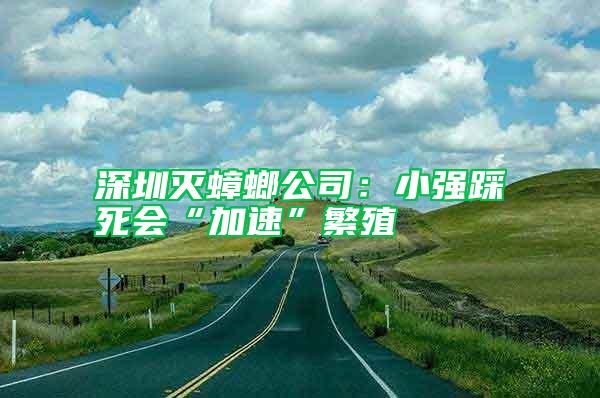 深圳滅蟑螂公司：小強(qiáng)踩死會“加速”繁殖