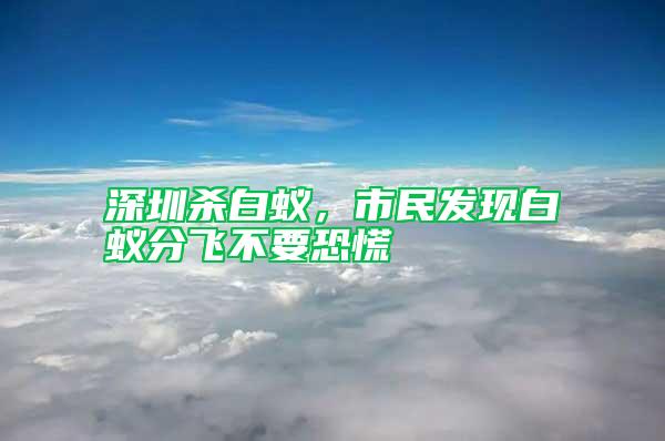 深圳殺白蟻，市民發(fā)現(xiàn)白蟻分飛不要恐慌