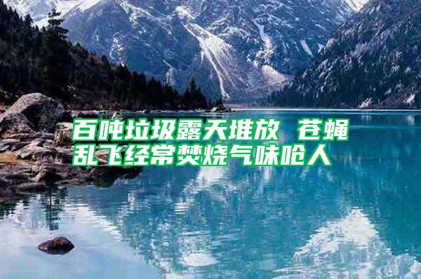 百噸垃圾露天堆放 蒼蠅亂飛經常焚燒氣味嗆人