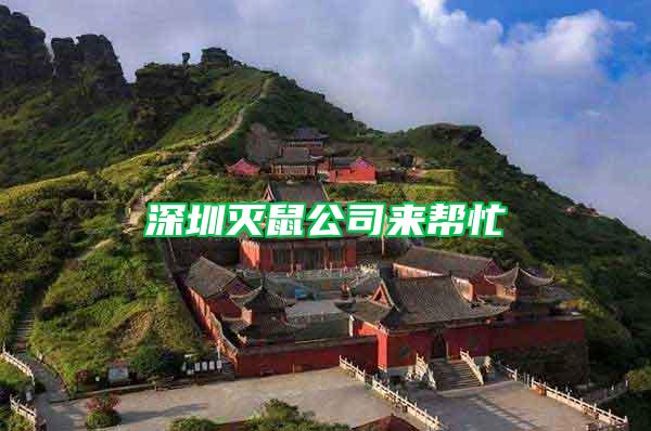 深圳滅鼠公司來(lái)幫忙