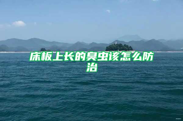 床板上長(zhǎng)的臭蟲(chóng)該怎么防治