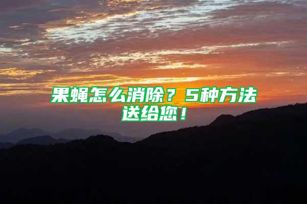 果蠅怎么消除？5種方法送給您！