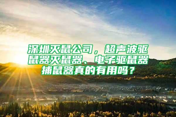 深圳滅鼠公司，超聲波驅鼠器滅鼠器、電子驅鼠器捕鼠器真的有用嗎？
