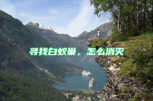 尋找白蟻巢，怎么消滅