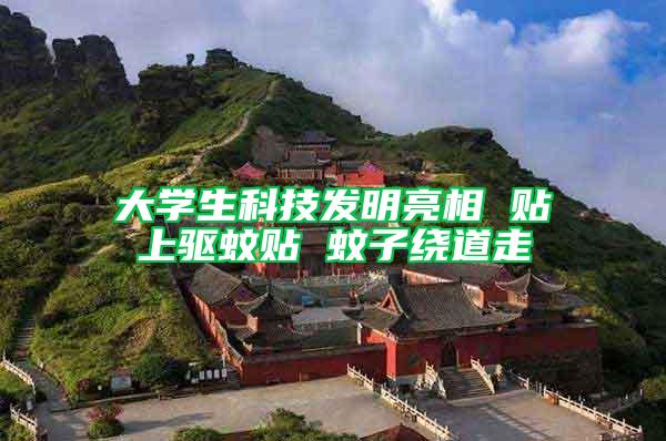 大學生科技發(fā)明亮相 貼上驅蚊貼 蚊子繞道走