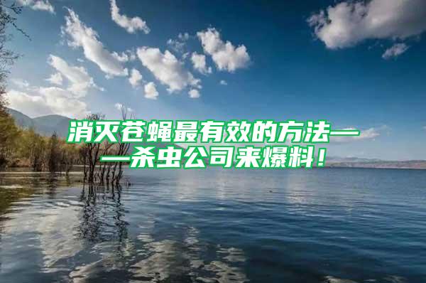 消滅蒼蠅最有效的方法——?dú)⑾x公司來爆料！