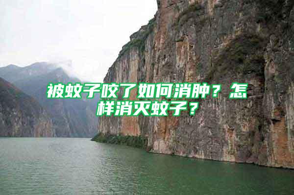 被蚊子咬了如何消腫？怎樣消滅蚊子？