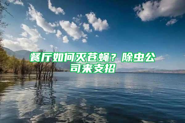 餐廳如何滅蒼蠅？除蟲(chóng)公司來(lái)支招