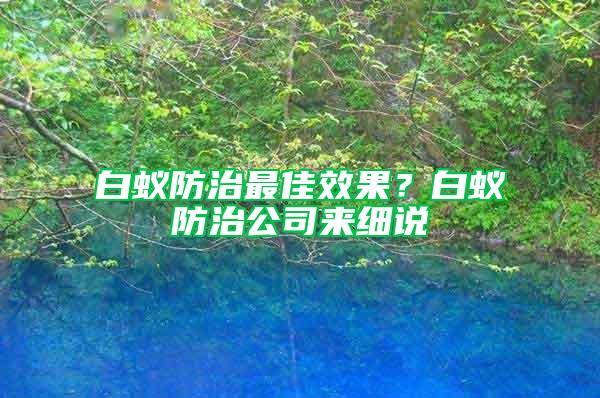 白蟻防治最佳效果？白蟻防治公司來細說
