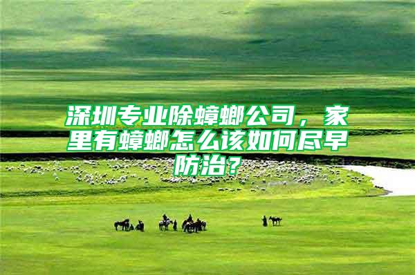 深圳專業(yè)除蟑螂公司，家里有蟑螂怎么該如何盡早防治？