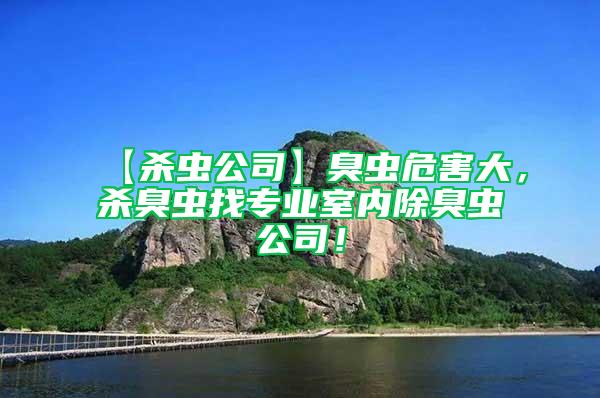 【殺蟲公司】臭蟲危害大，殺臭蟲找專業(yè)室內除臭蟲公司！