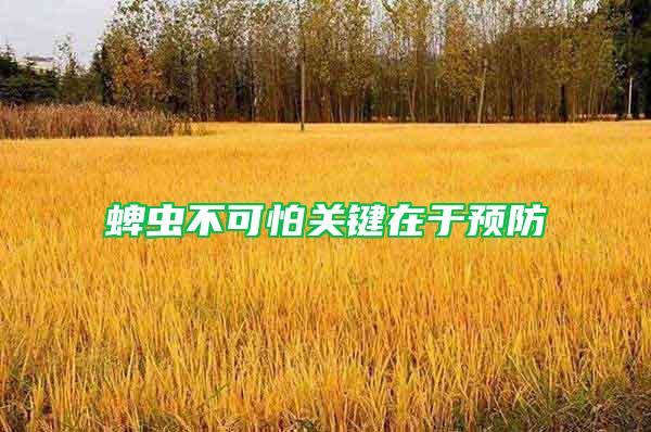 蜱蟲(chóng)不可怕關(guān)鍵在于預(yù)防