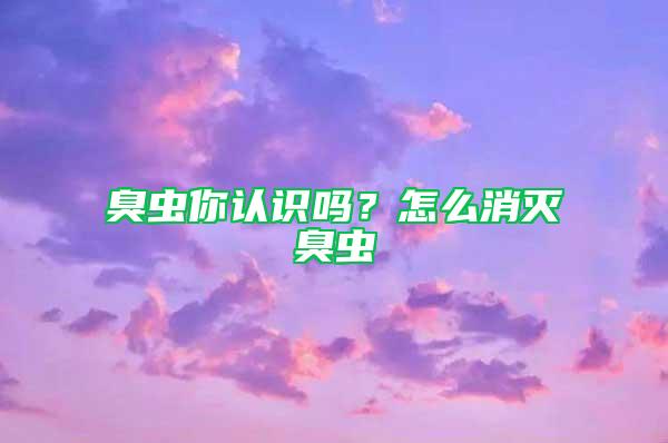 臭蟲你認(rèn)識(shí)嗎？怎么消滅臭蟲