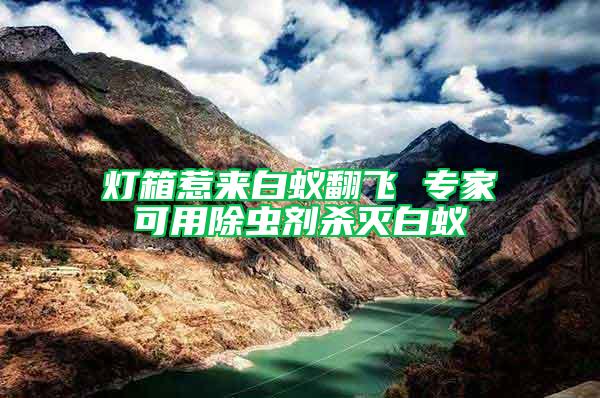 燈箱惹來(lái)白蟻翻飛 專家可用除蟲(chóng)劑殺滅白蟻