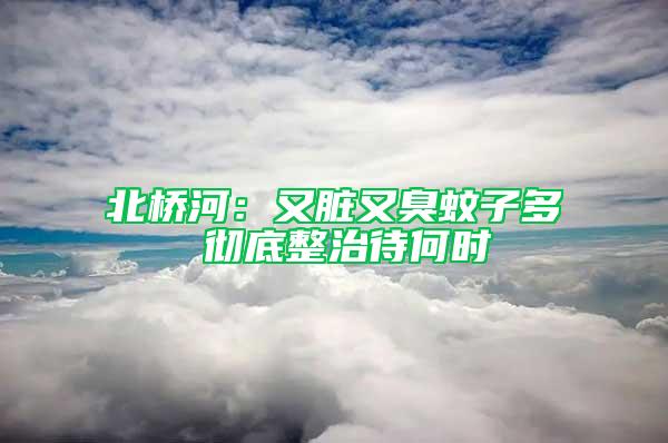 北橋河：又臟又臭蚊子多 徹底整治待何時(shí)
