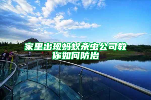 家里出現(xiàn)螞蟻殺蟲(chóng)公司教你如何防治