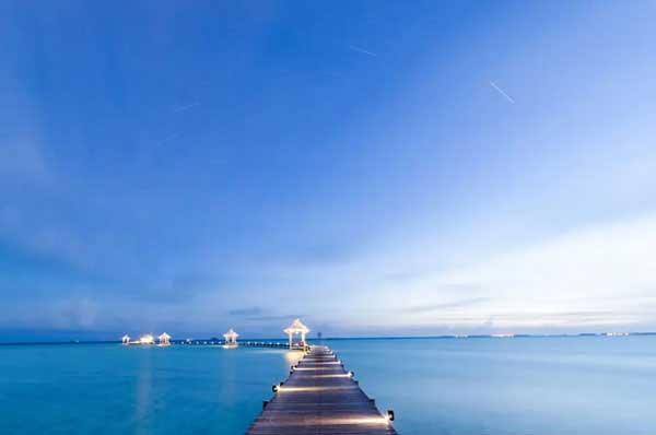 深圳殺蟲公司對(duì)殺蟲劑的要求