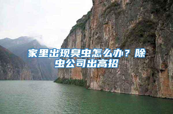 家里出現臭蟲怎么辦？除蟲公司出高招