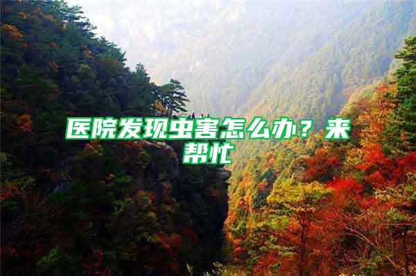 醫(yī)院發(fā)現(xiàn)蟲害怎么辦？來幫忙